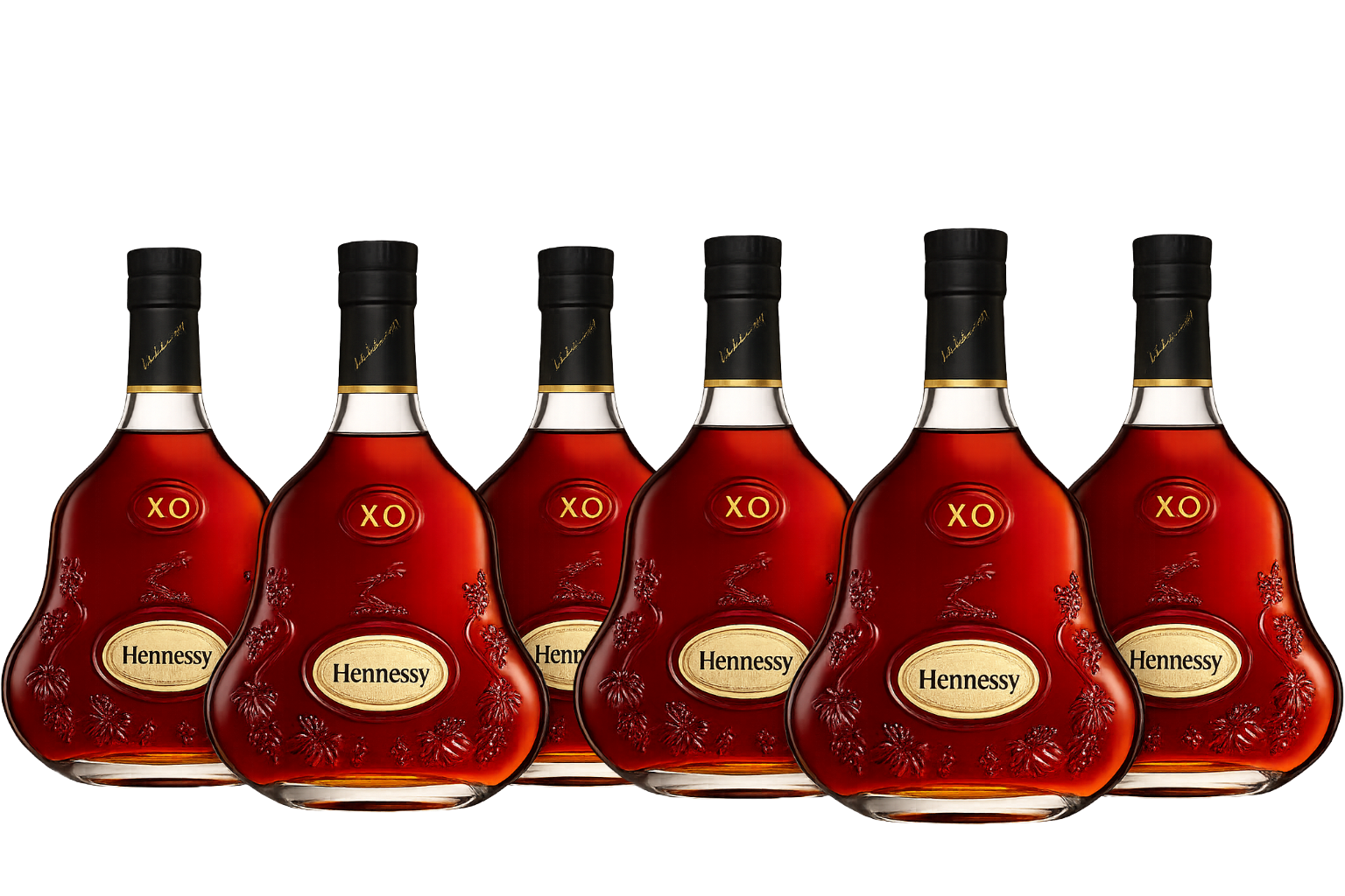 H-XO-Bundle-of-6.png