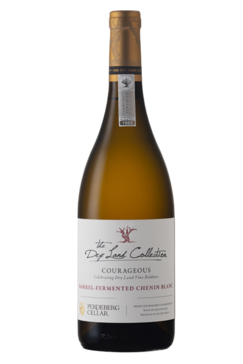 Dry-Land-Chenin-Blanc-2023.png