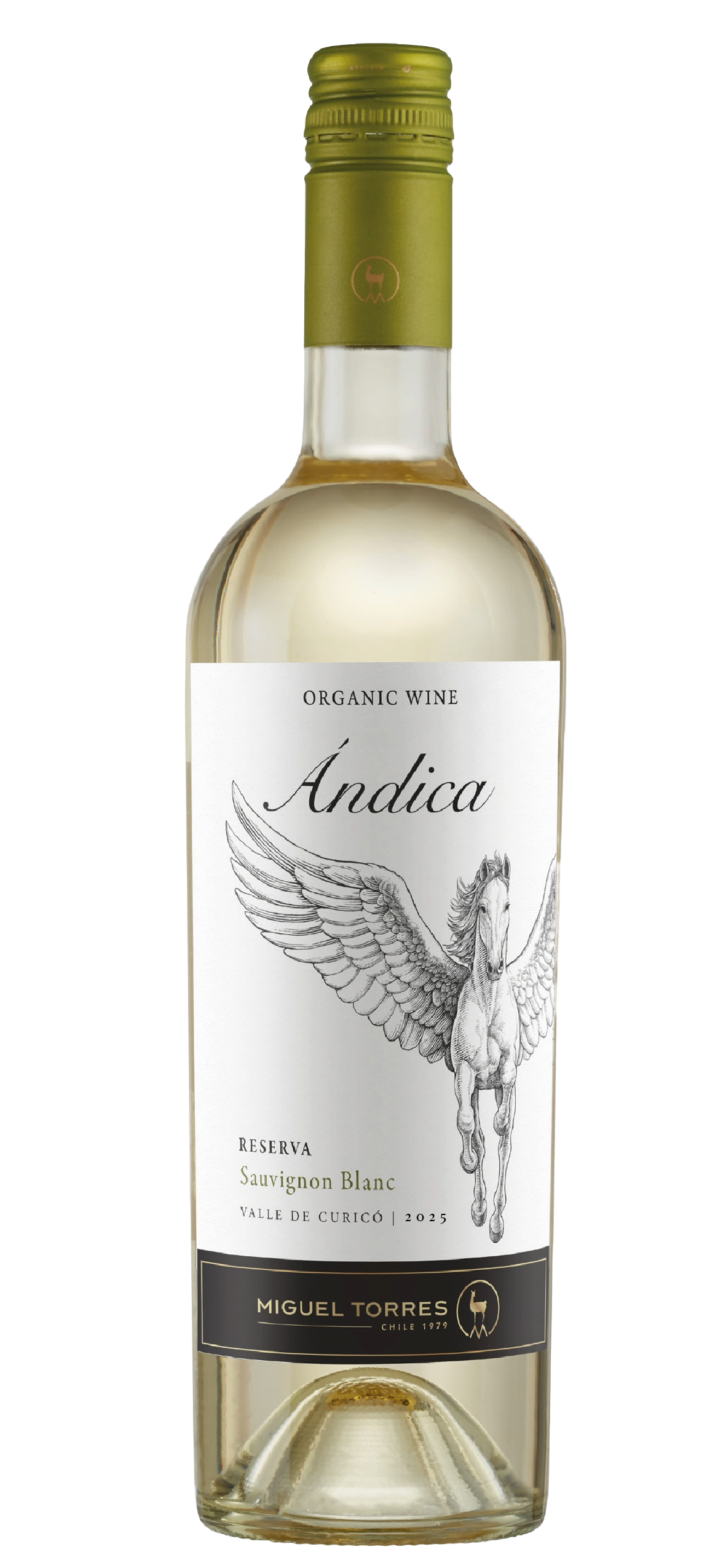 Miguel-Torres-Andica-Reserva-Sauvignon-Blanc.png